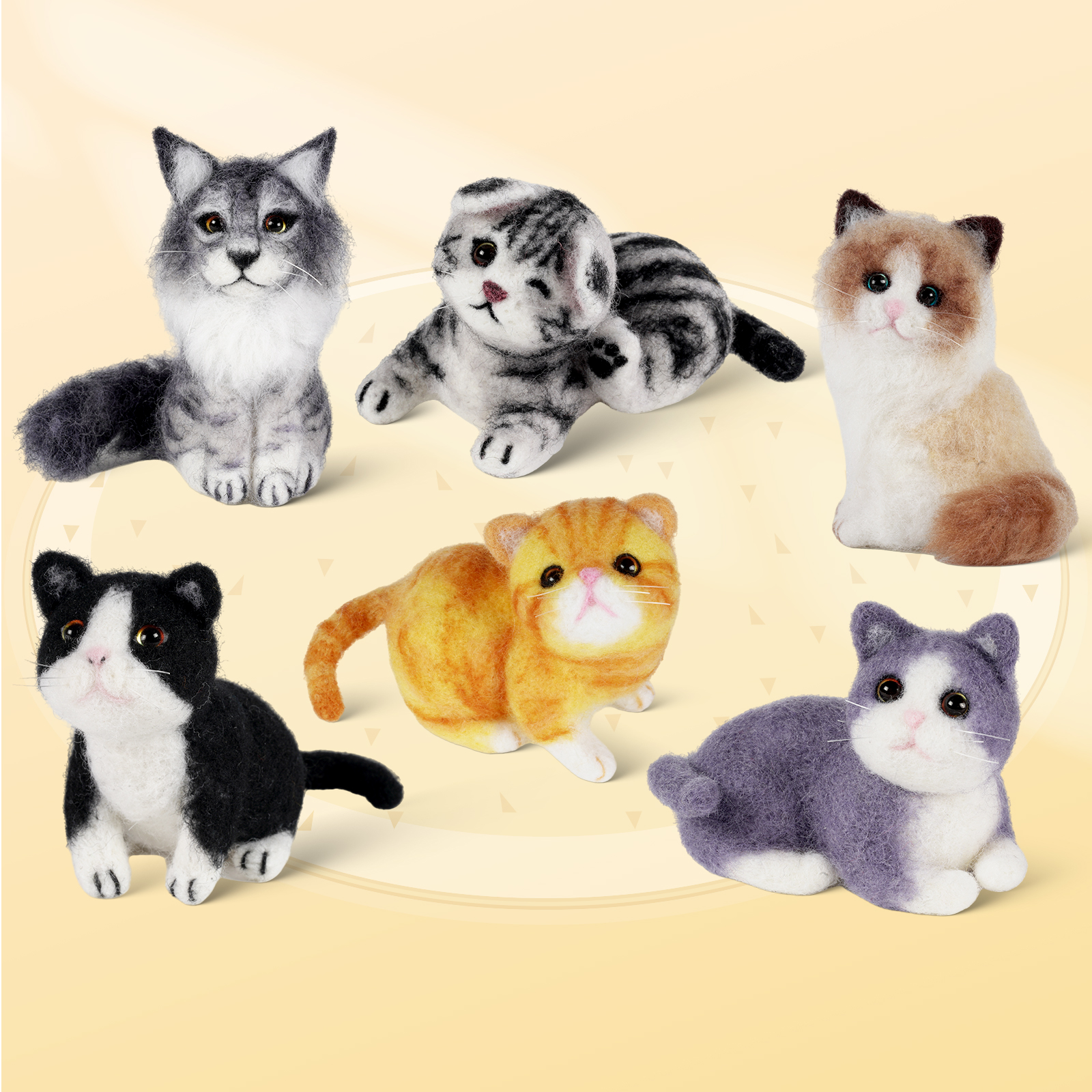 六只猫