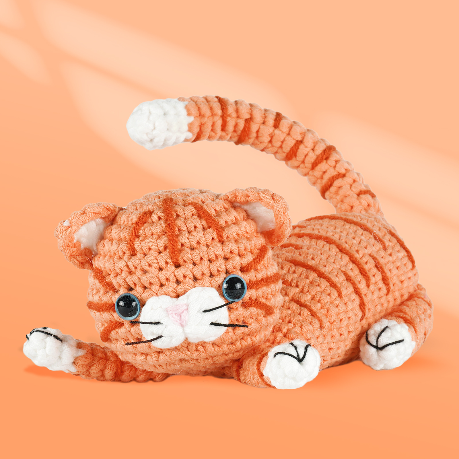 橘猫